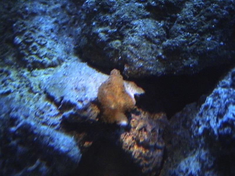 DSC00010 (Medium).JPG