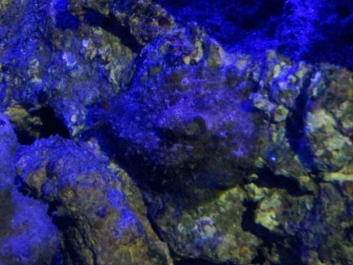 2012-02-23 21.43.52_resized.jpg