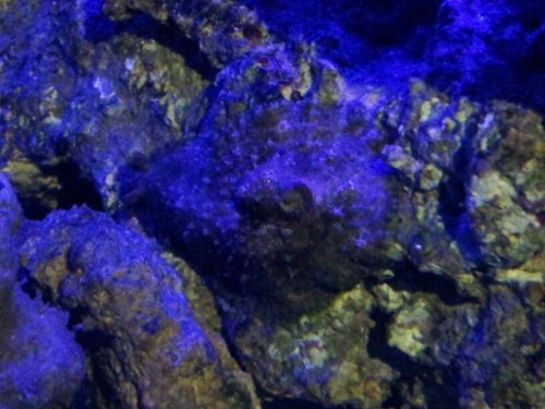 2012-02-23 21.43.55_resized.jpg