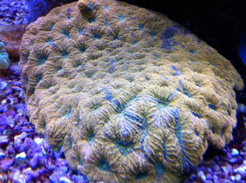 foto15.JPG