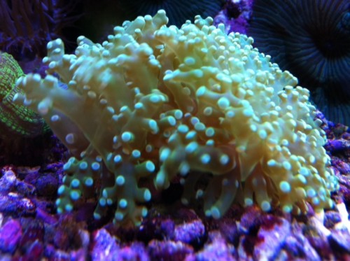 foto14.JPG