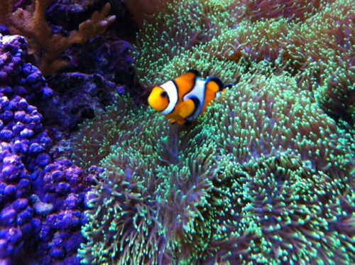foto9.JPG