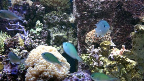 2012-02-25-032.jpg