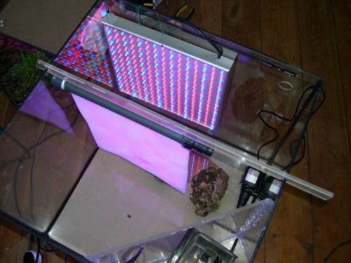 DSCN2549.JPG