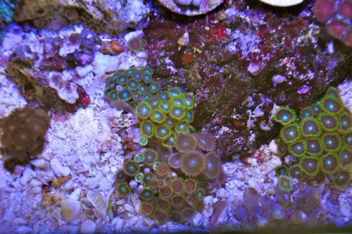 DSC_0165.JPG