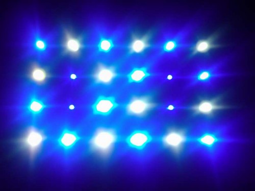 led (12).jpg