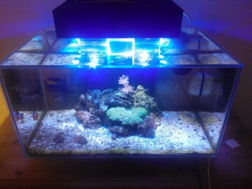 led (11).jpg