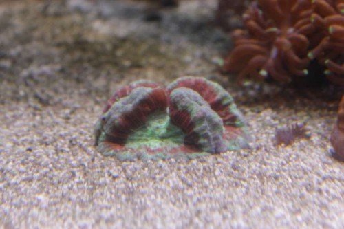 IMG_3021.JPG