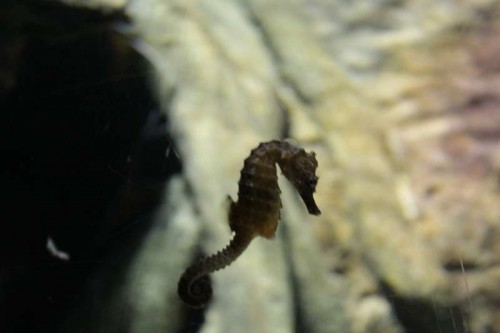 IMG_3029.JPG
