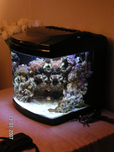 så lidt fylder det.