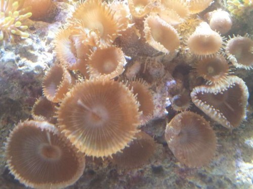 2012-03-05 10.58.03.jpg