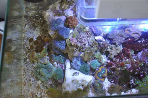 DSC_0234.JPG