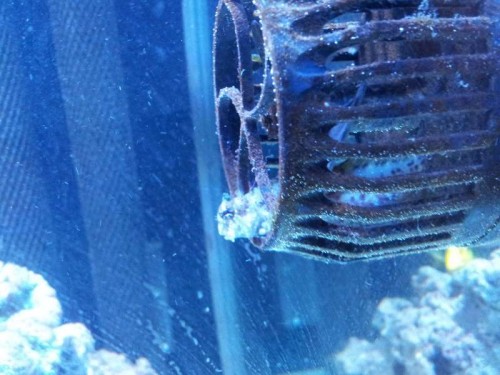 20120311_181655.jpg
