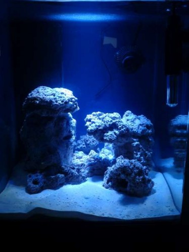 FTS