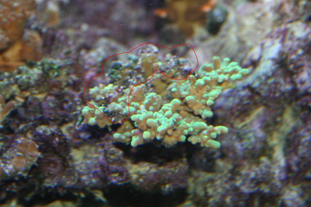 IMG_0471 (Small) (3).jpg