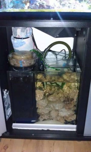NY sump 1.jpg