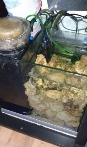 Ny sump 2.jpg
