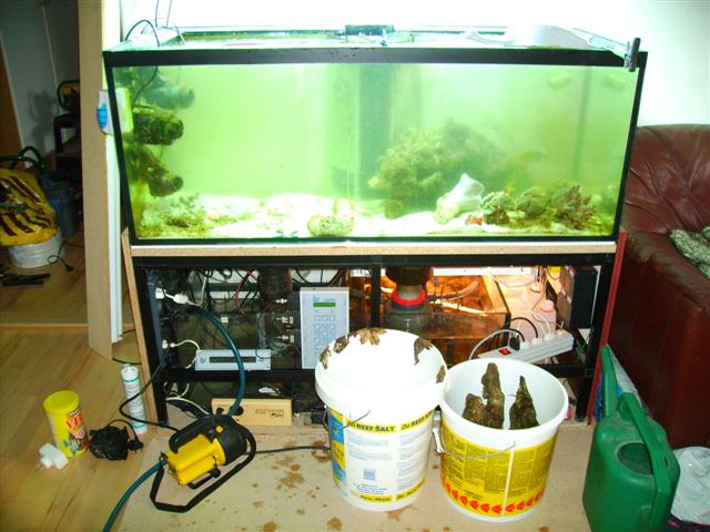 PICT0139 (Small).JPG
