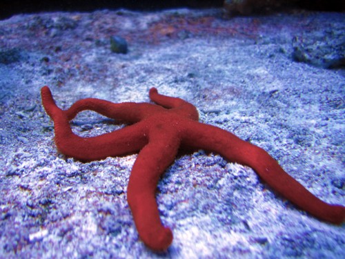 IMG_1764.jpg