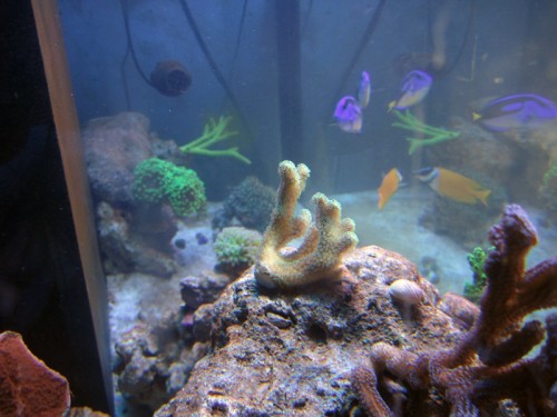 update-30-03-2012.jpg