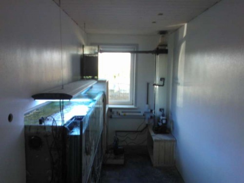 WP_000091.jpg