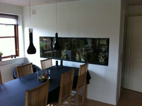 Akvariet! Mangler bare en rustfri kant liste