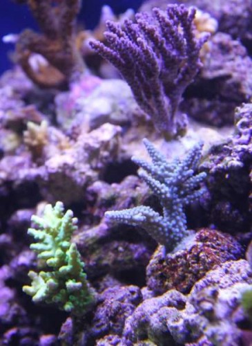 IMG_0293n.jpg