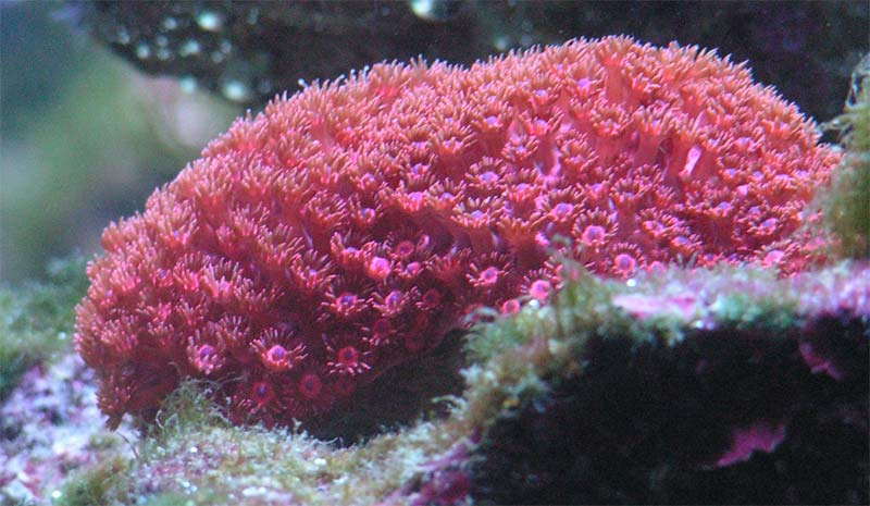 PICT0019.jpg