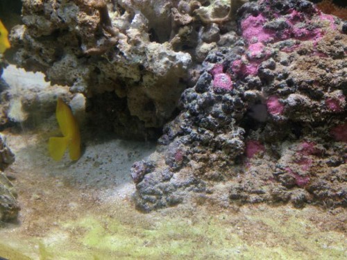 3 April 2012