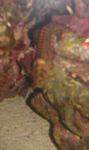 IMAG0148.jpg
