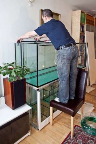 120419 Eget akvarium (1 of 10).jpg