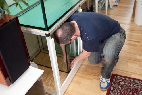120415 Eget akvarium (15 of 18).jpg