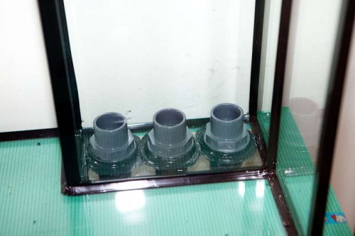 120415 Eget akvarium (6 of 18).jpg