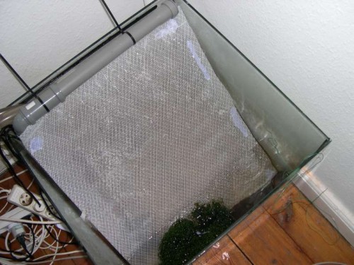DSCN2569.JPG