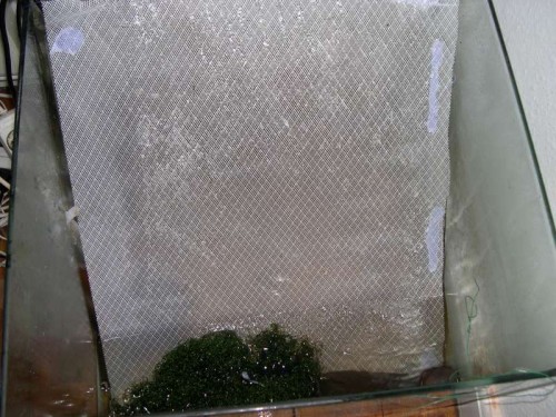 DSCN2568.JPG