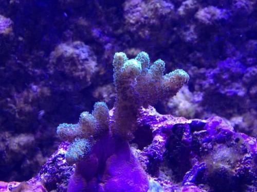 IMG_0546.jpg