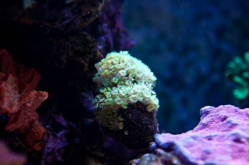 230423nesnej_pix (29 of 124).jpg