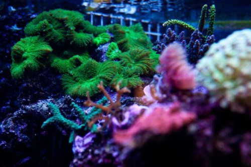 230423nesnej_pix (23 of 124).jpg