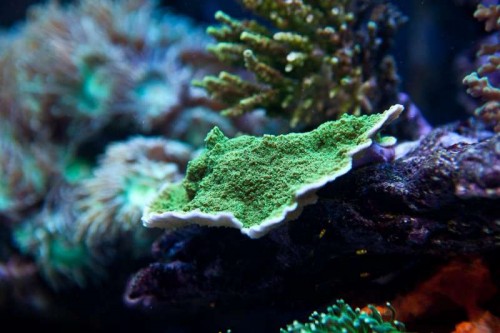 230423nesnej_pix (50 of 124).jpg