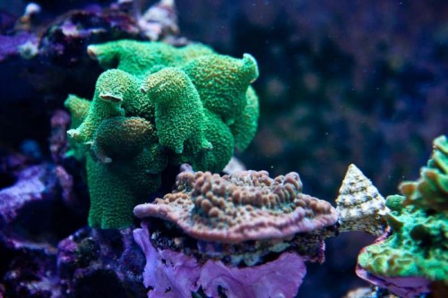 230423nesnej_pix (38 of 124).jpg