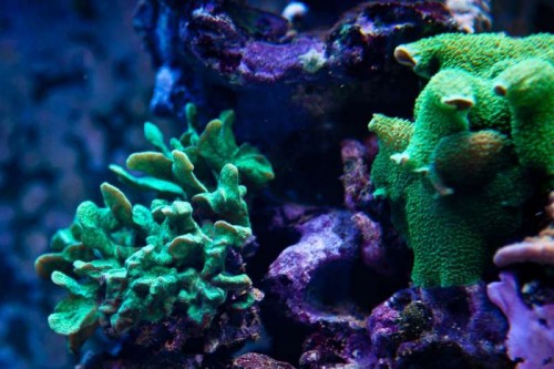 230423nesnej_pix (36 of 124).jpg
