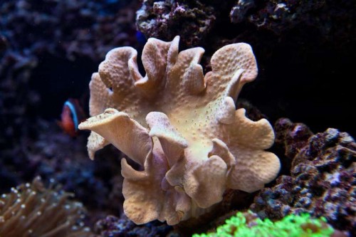 230423nesnej_pix (61 of 124).jpg