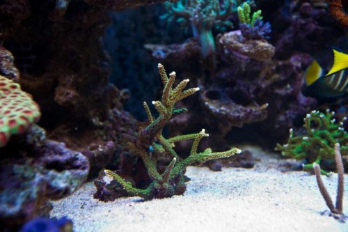 230423nesnej_pix (99 of 124).jpg