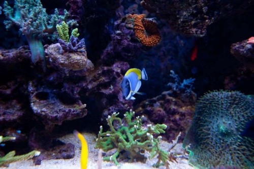 230423nesnej_pix (96 of 124).jpg