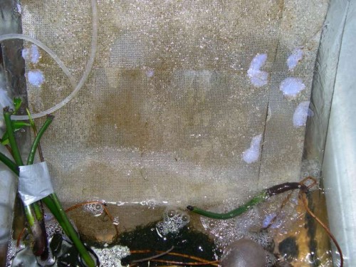 DSCN2586.JPG