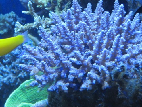 IMG_3579.jpg