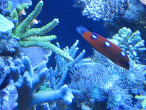 IMG_3580.jpg