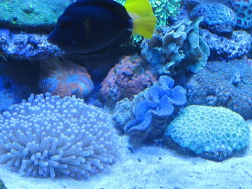 IMG_3583.jpg