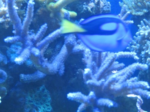 IMG_3587.jpg