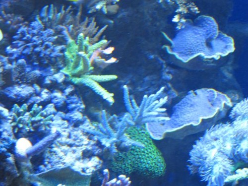 IMG_3590.jpg